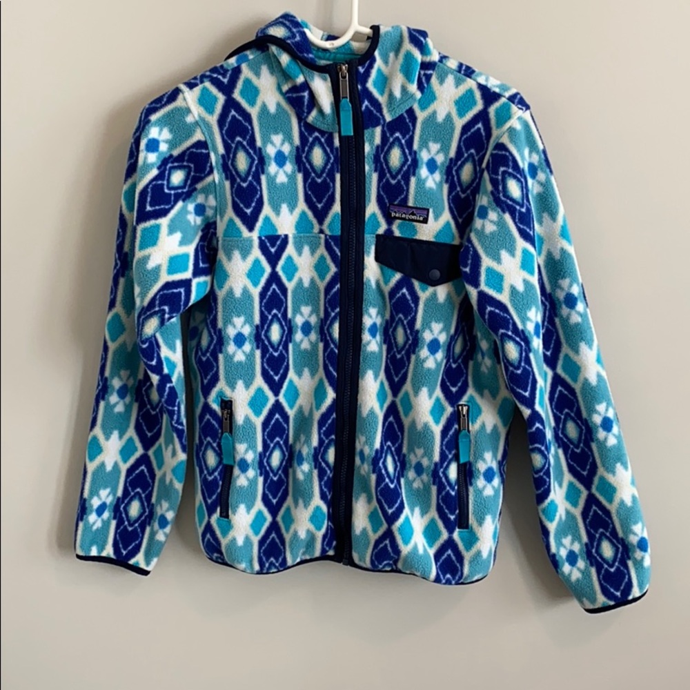 Synchilla Zip-Up Hooded Sweatshirt